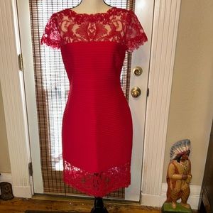 Tadashi Shoji Pintucked Lace Dress in Autumn Size MED NWOT
